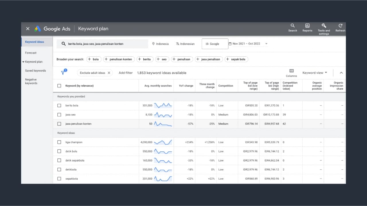 Figure 3: Google Keyword Planner ideas